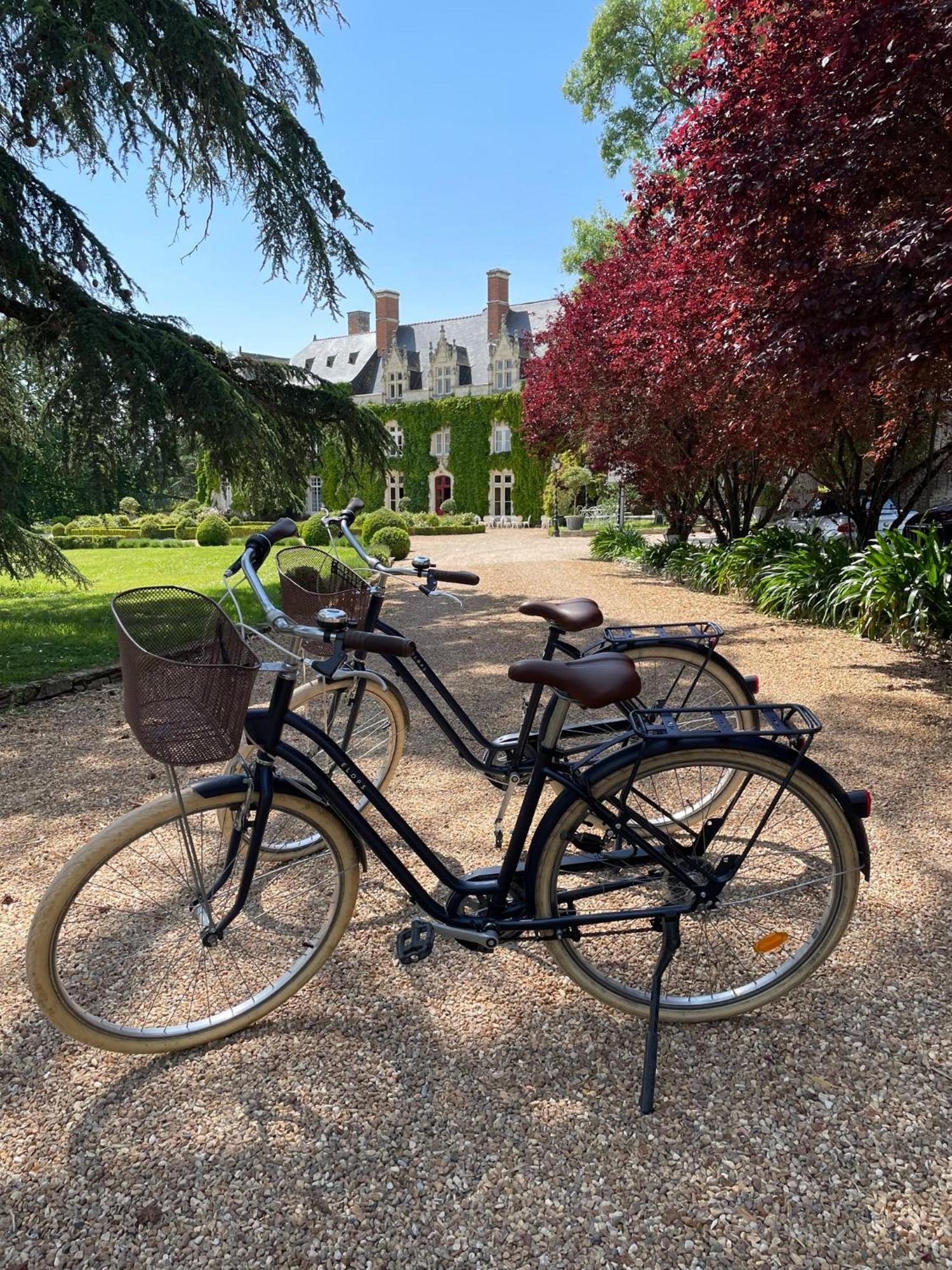 Château de l'Epinay Saint-Georges sur Loire Exterior foto